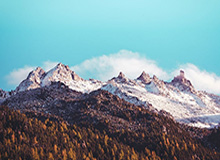 leyu入口-记者手记:鲜衣怒马赴韶华——记U23男足晋级亚洲杯决赛